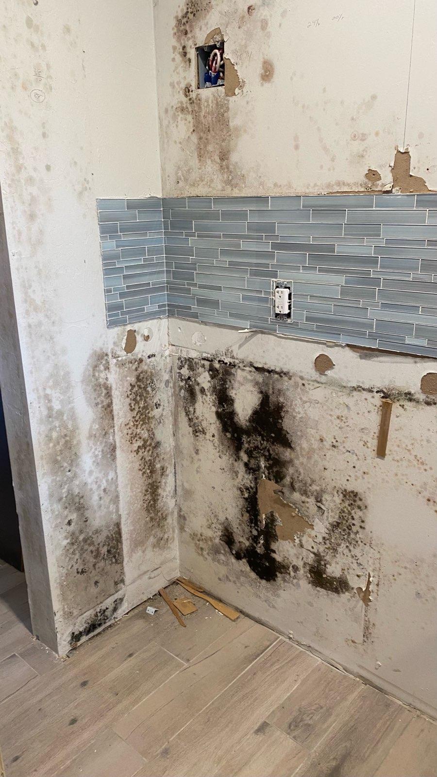 Mold Inspection Fort Myers Mr Dry Services